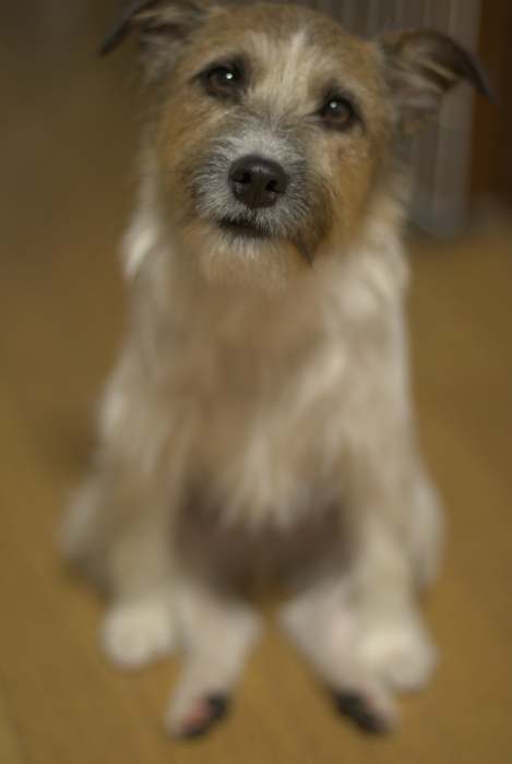 c0123759_0321568.jpg