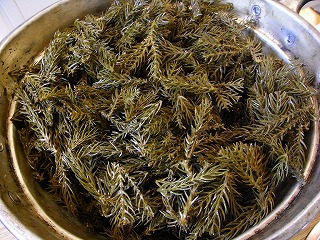 f0083262_2030164.jpg
