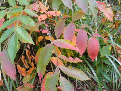 a0063364_18193454.jpg