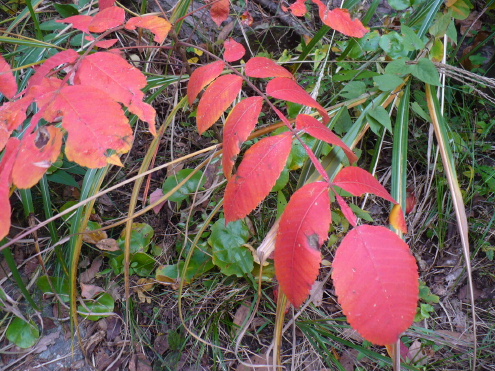 a0063364_1820442.jpg