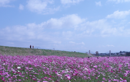 d0102968_7204799.jpg