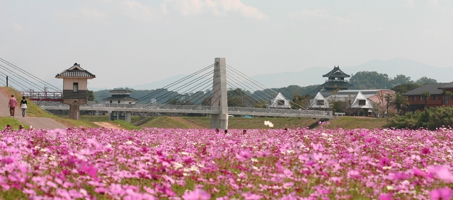 d0102968_745033.jpg