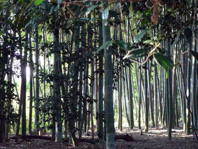 f0086169_22585473.jpg