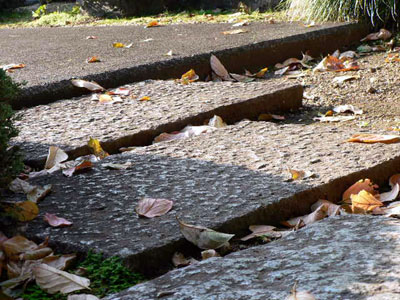 f0086169_23103392.jpg
