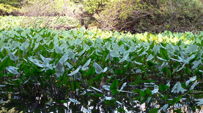 f0086169_23182217.jpg