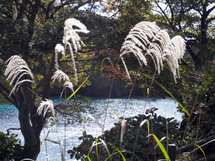 e0100772_2156090.jpg