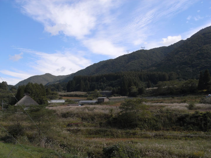 e0100772_2264823.jpg