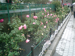 b0013376_2114887.jpg