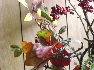 c0078480_22502979.jpg