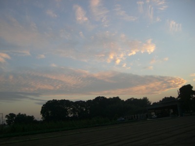 c0078480_23204939.jpg
