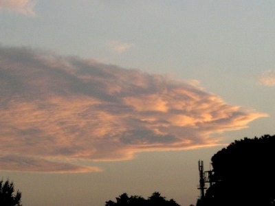 c0078480_2325282.jpg