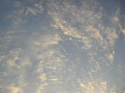 c0078480_238636.jpg
