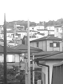 f0100480_19403028.jpg