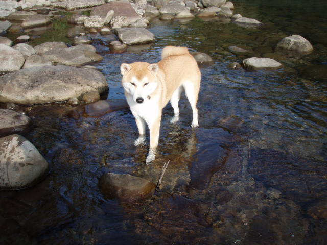 e0125483_046485.jpg