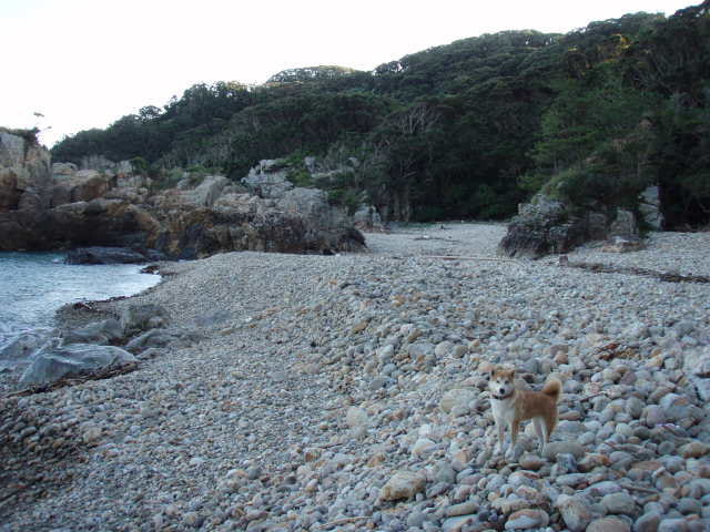 e0125483_116964.jpg
