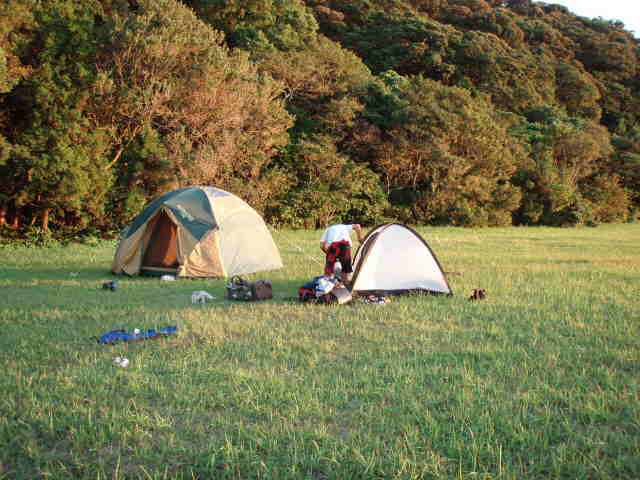 e0125483_1224582.jpg