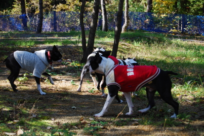 c0092787_1034933.jpg