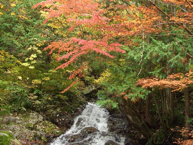 c0036792_20595424.jpg