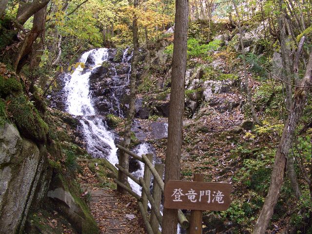 c0036792_211063.jpg