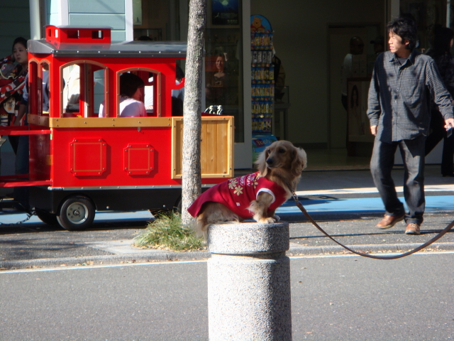 d0098295_14571740.jpg