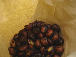 f0106597_3422490.jpg