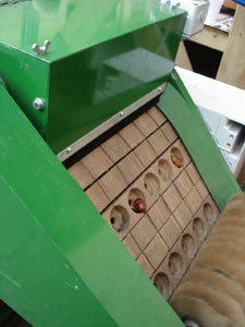 f0106597_45272.jpg