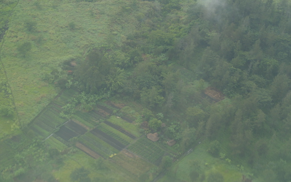 e0089001_2111686.jpg