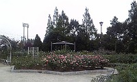 f0147602_104033100.jpg