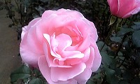 f0147602_9442063.jpg