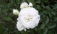 f0147602_9462991.jpg