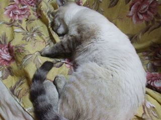 c0103205_22303219.jpg