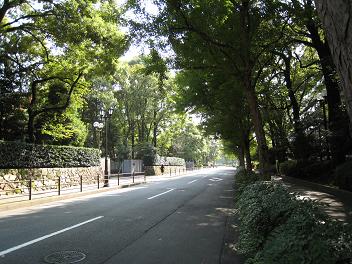 c0131907_1233241.jpg