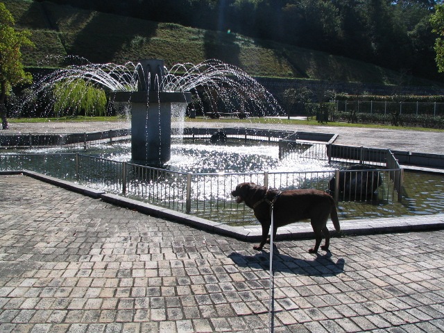 d0081210_14213110.jpg