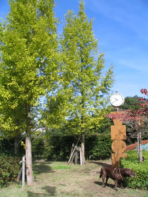 d0081210_14225168.jpg