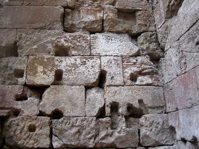 b0064411_21442095.jpg