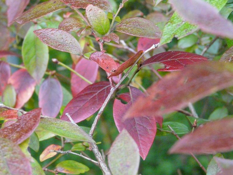 c0086014_235546.jpg