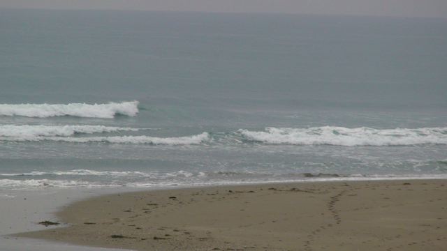 f0116314_18104525.jpg