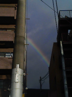 e0095715_1354279.jpg