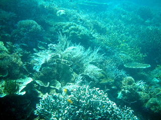 f0142717_0144849.jpg