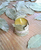 f0066325_14352553.jpg