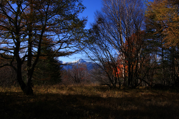 f0081726_11373685.jpg