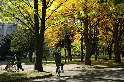a0046429_8531734.jpg