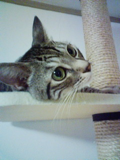 c0125532_20143058.jpg