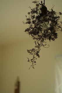 c0083439_11112893.jpg