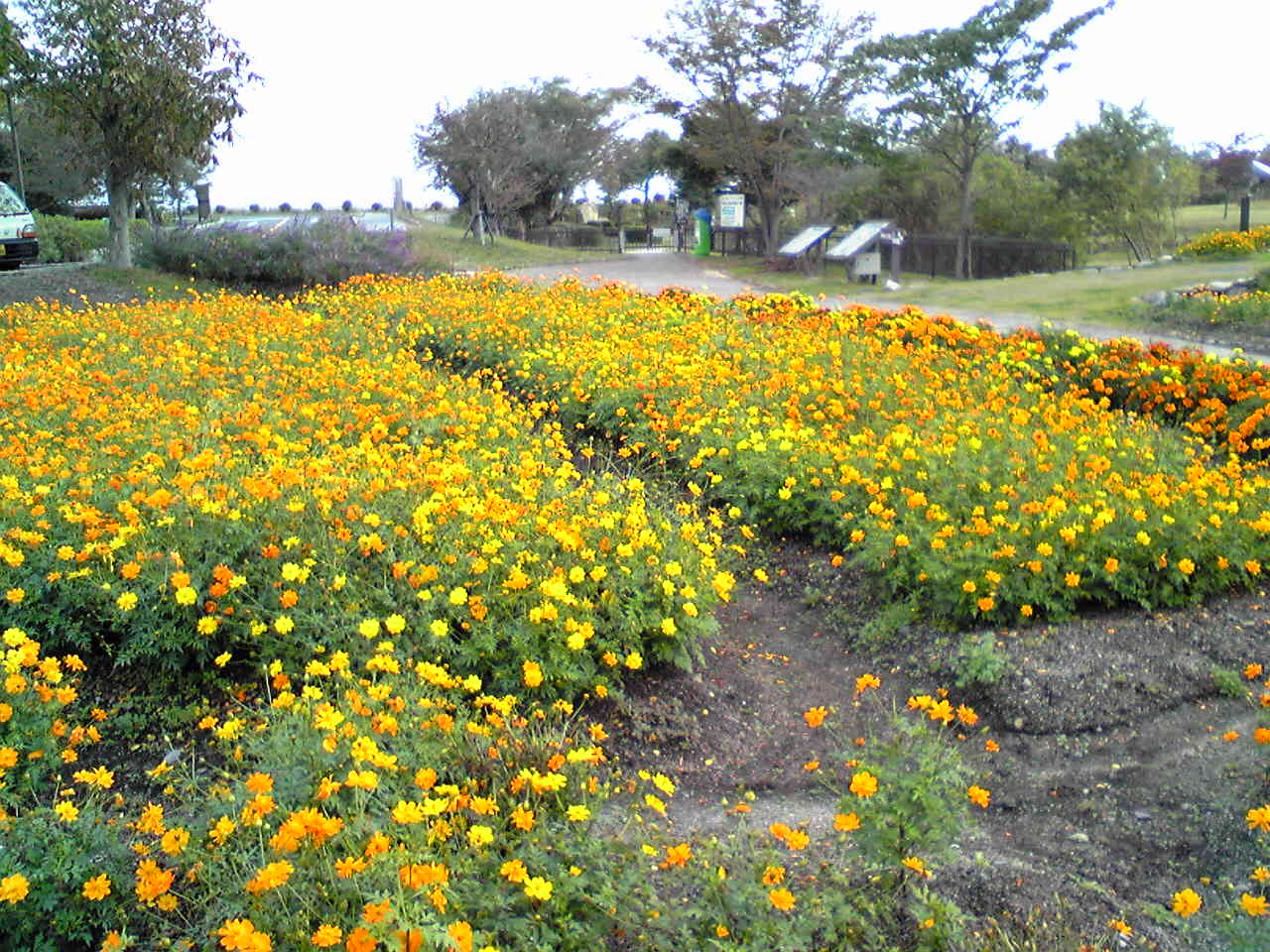 f0016345_10551934.jpg