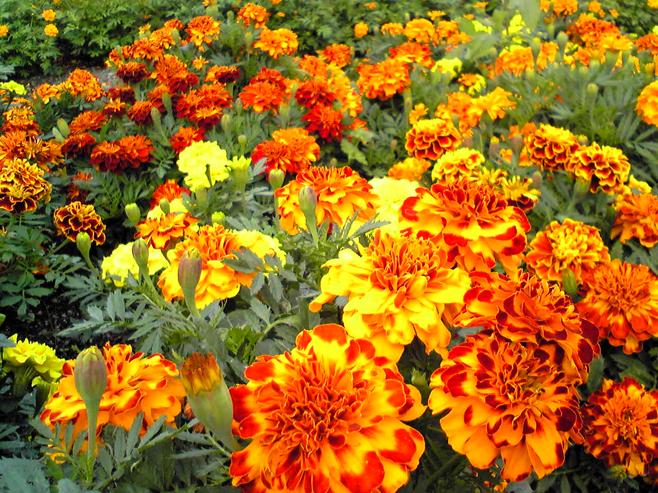 f0016345_10561266.jpg