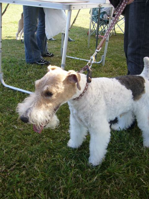 f0150047_9481566.jpg
