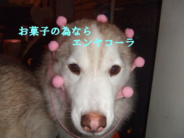 e0121548_20115695.jpg