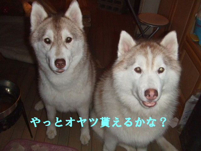 e0121548_20134347.jpg