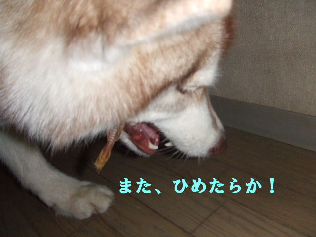 e0121548_20141355.jpg